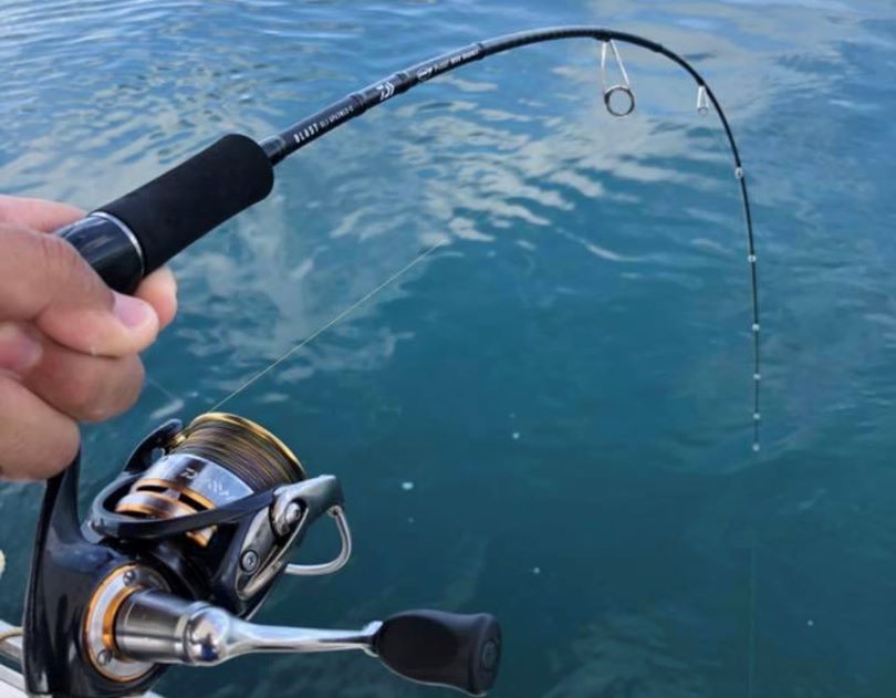 sljフルソリッド