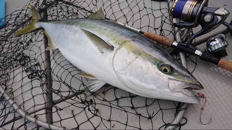 ジギングリール