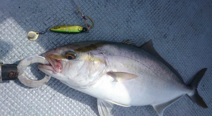 ダイワsljリール