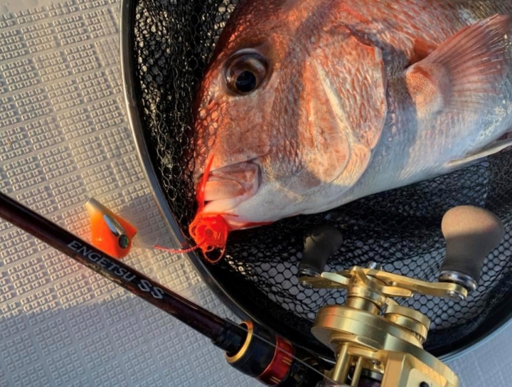 炎月ssフルソリッド